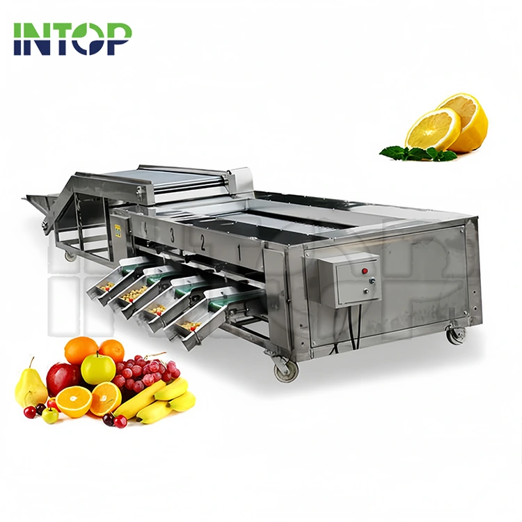 Fructus ac Vegetabilis Sorting Machina
