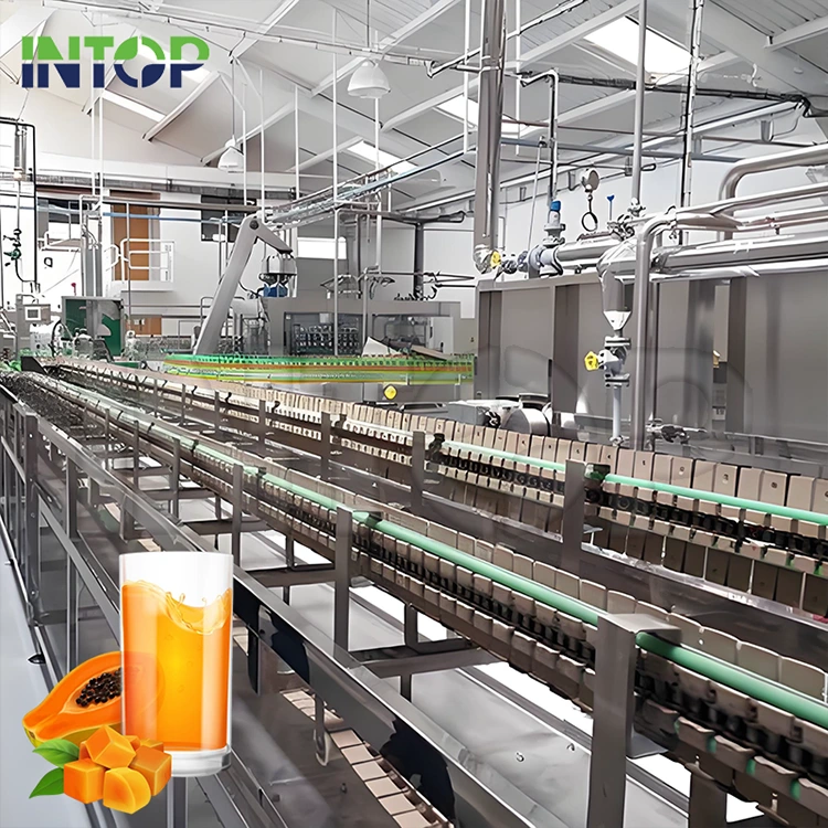 Papaya Juice Productio Linea