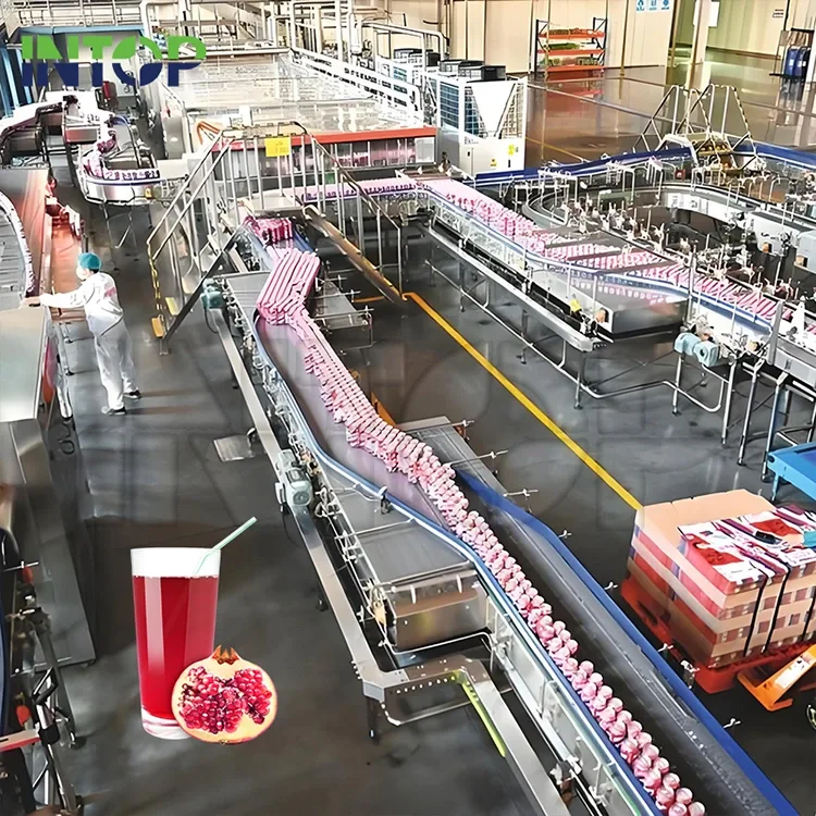 Malum punicum Productio Linea