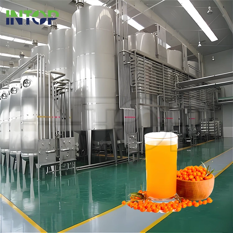 Mare Buckthorn Succus Productio Linea